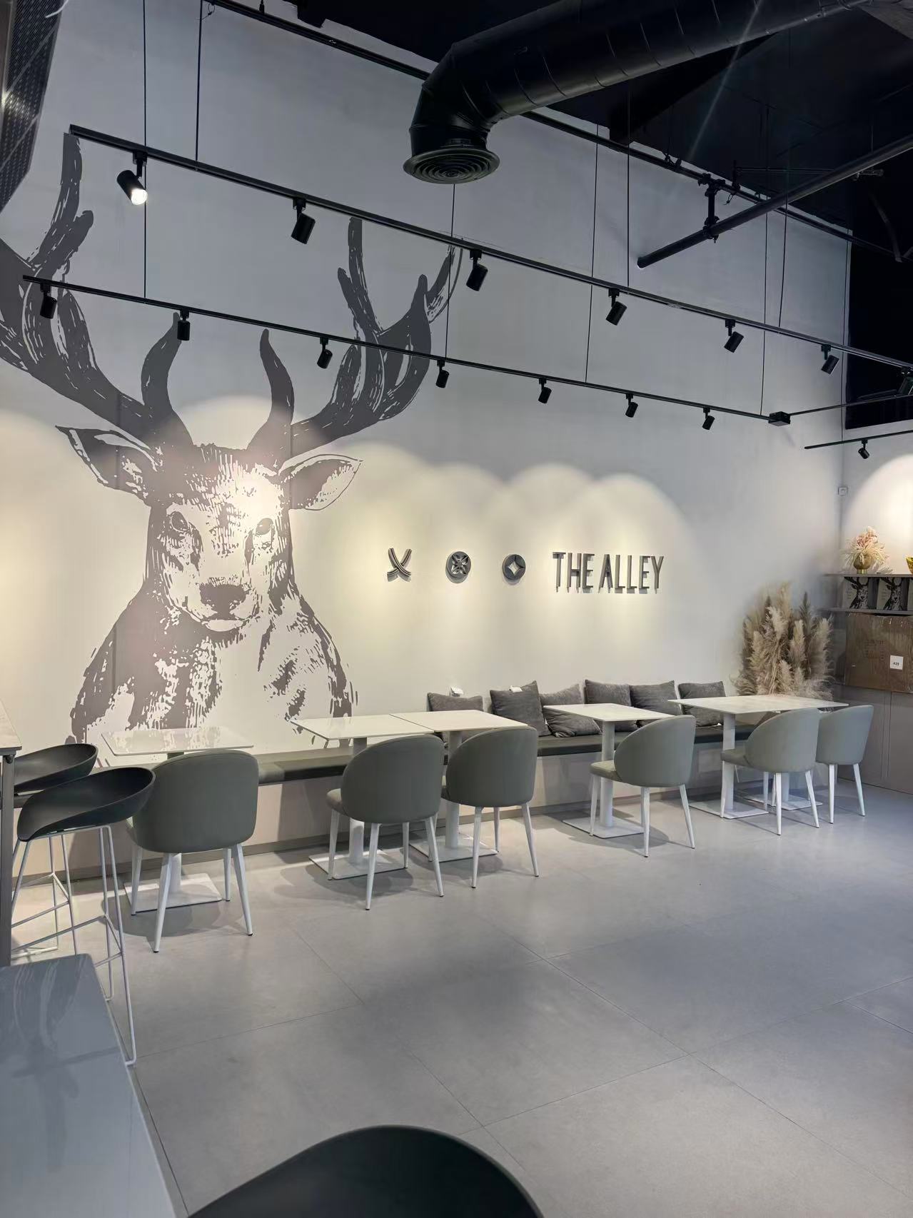 The Alley – Fontana